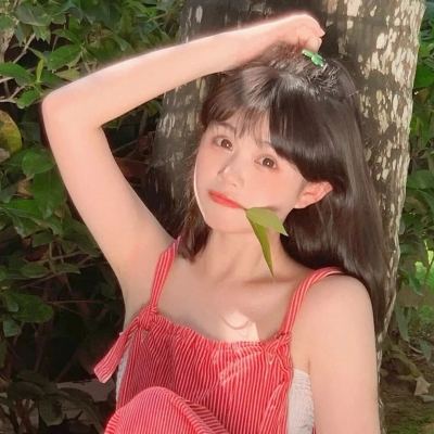 山海迷境果盘版下载